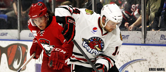 Charlotte Checkers at Rockford IceHogs